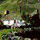 Traditional house